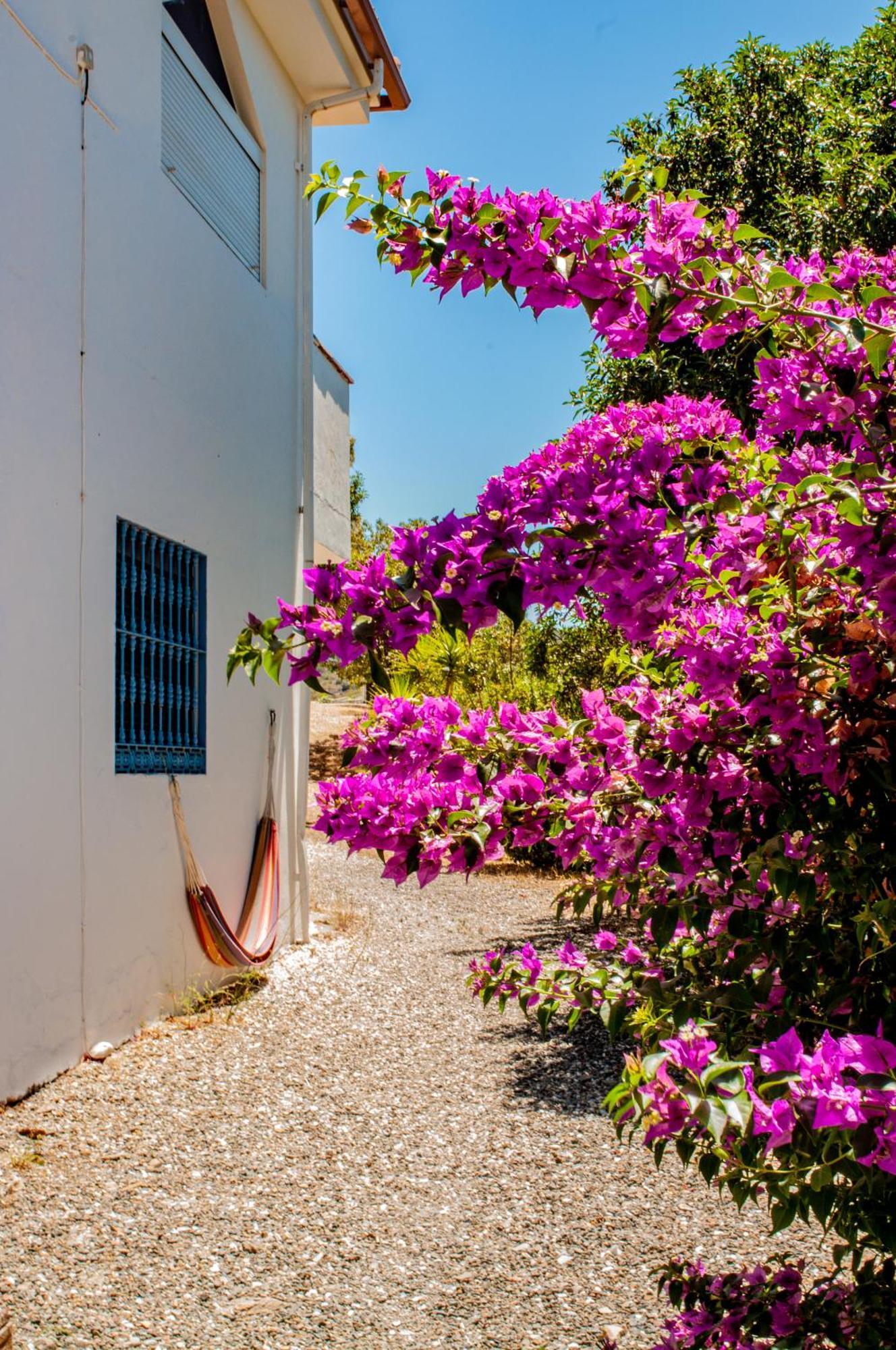 Aparthotel Nido Aguila Blanca Guaro Exterior foto